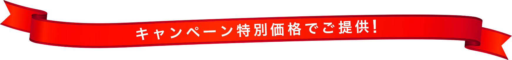 キャンペーン特別価格でご提供！