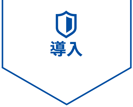 導入